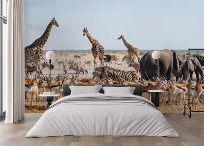 Wild animals congregate around a waterhole in Etosha National Park, northern Namibia, Africa. Wall mural