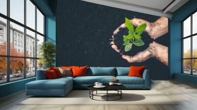 Hand for planting trees back to the forest, Creating awareness for love wild, Wild plant concept. Wall mural