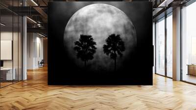 Trees sugar palm in the moon night. Wall mural