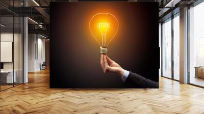 Hand holding light bulb on dark background, new idea concept Wall mural