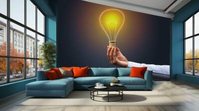 Hand holding light bulb on dark background. New idea concept Wall mural