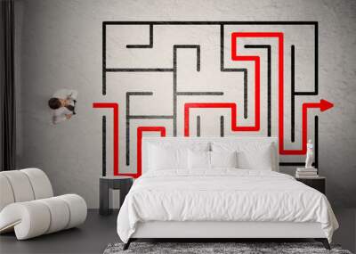 Lost businessman found the way in maze with red arrow Wall mural