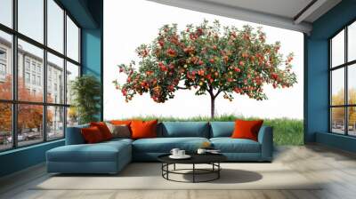 A apple tree with fruit isolated over white background Wall mural