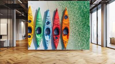 Aerial view of kayak boat in tropical beach Wall mural