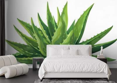 Aloe vera leaf with plain background Wall mural