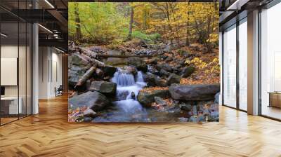 autumn creek in forest Wall mural