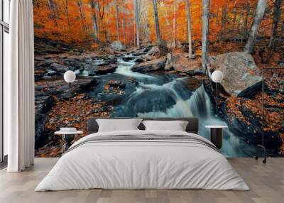 Autumn waterfalls Wall mural