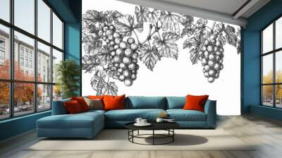 Background template with copy space of grape leaf and  vine. Line art drawing. Wall mural