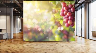 Background template with copy space  of grape leaf and  vine Wall mural