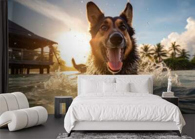 Cute dog swim in water at sunset. Wall mural