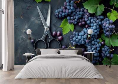 Fresh grape fruit with leaf and shears Wall mural