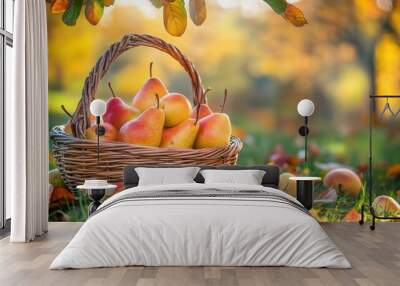 Fresh pear fruit in basket in plantation orchard farm with trees Wall mural