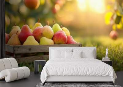 Fresh pear fruit in wooden crate in orchard plantation farm Wall mural