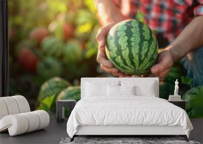 Hands with watermelon growing in plantation field in farm Wall mural