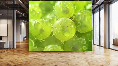 Macro closeup view of grape fruit balls Wall mural