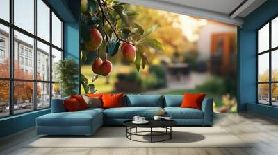 Pear tree with ripe fruit and home building Wall mural