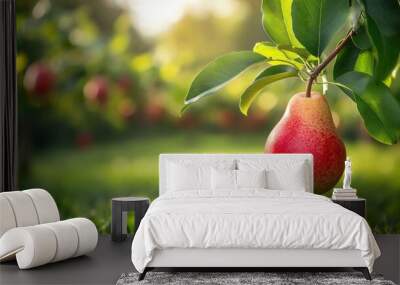 Ripe pear fruit growing on tree Wall mural