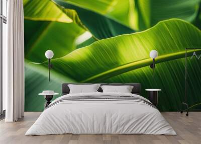 Seamless pattern background of fresh banana plant leaf Wall mural