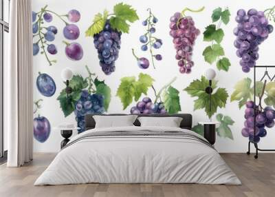 Watercolor illustration drawing of grape leaf vine Wall mural