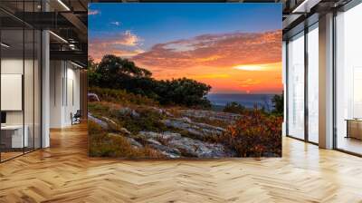 Colorful blueberry bushes are surrounded with rocky granite outcroppings at High Point State Park, New Jersey sunset Wall mural