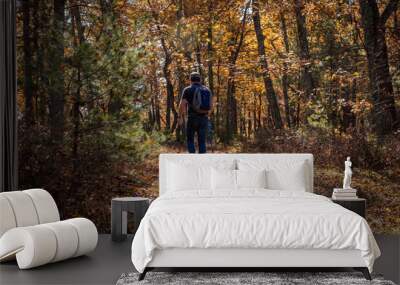 Lone man hiking the trails near Milford, PA, surrounded by lush foliage and pine trees Wall mural