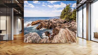 scenic rocky shoreline in la verna preserve in bristol, maine, on a beautiful summer day Wall mural