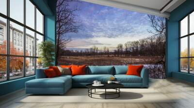 Winter snow at dusk fills the sky with beautiful tones of violet over a wooded field Wall mural