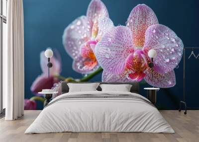 Pink Orchid Blossom with Dew Drops Wall mural