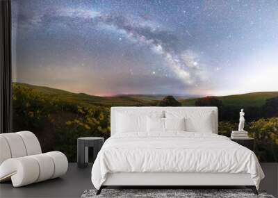 Milky Way Panorama Over Old Car In Flowers Wall mural