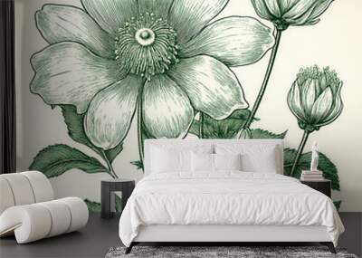 A detailed botanical illustration features a single green flower with its petals open in full bloom and two buds. Wall mural