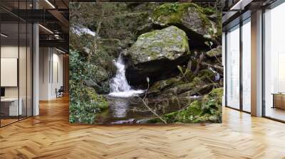 waterfall in forest Wall mural