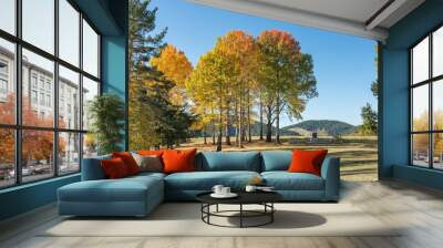 Beautiful autumn trees in the Rhodope mountains. Wonderful blue sky and golden leaves. Fall Wall mural