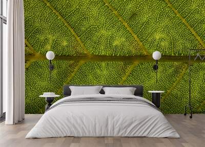 Organic leaf background Wall mural