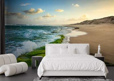 Indian ocean coastline and beaches of Mozambique Wall mural