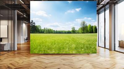 Beautiful blurred background image of spring nature with a neatly trimmed lawn surrounded by trees against a blue sky with clouds on a bright sunny day. Wall mural