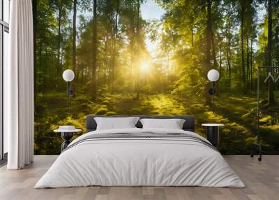 sun shining through the forest Wall mural