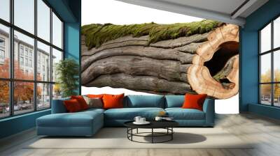 Forest straight hollow log with moss isolated on transparent background Wall mural