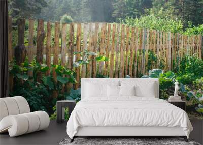 fenced vegetable garden Wall mural