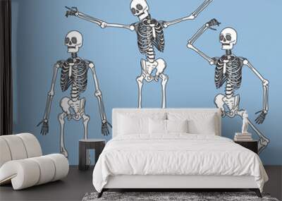 Skeleton line art vector illustration. Easy editable positions.  Wall mural