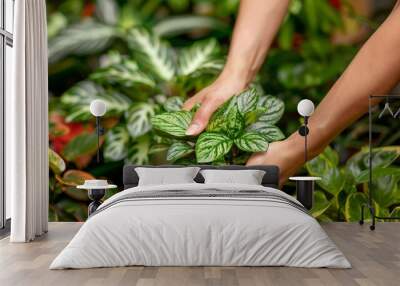 Close-up of hands nurturing a vibrant potted plant amidst a lush foliage background Wall mural