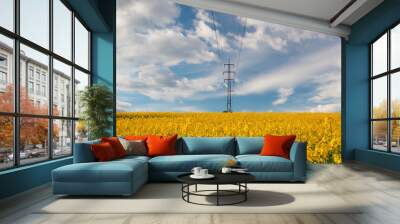 Rape Field and blue sky Wall mural