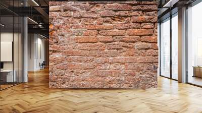 Background from cardboard of old bricks (more brick textures in the portfolio) Wall mural