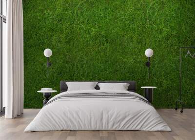 Green fresh grass texture background Wall mural