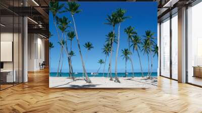 punta cana beach Wall mural