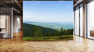 landscape with mountains and clouds green forest carpathians  Wall mural