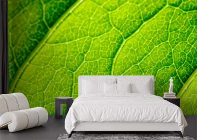 Green Leaf Texture With Visible Stomata Covering The Outer Epidermis Layer Wall mural