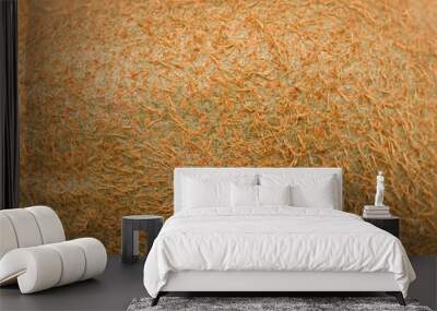 kiwi fruit peel macro texture Wall mural