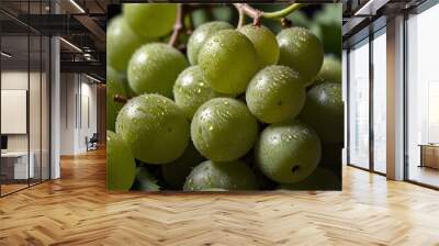 many green fresh ripe Grape fruits  Wall mural