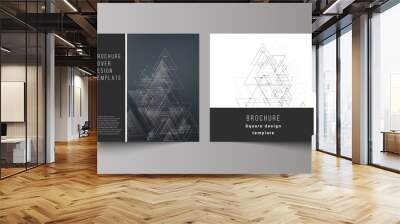 The minimal vector editable layout of two square format covers design templates for brochure, flyer, magazine. Polygonal background with triangles, connecting dots and lines. Connection structure. Wall mural