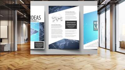 The vector illustration of the editable layout of three A4 format modern covers design templates for brochure, magazine, flyer, booklet. Abstract global design. Chemistry pattern, molecule structure. Wall mural